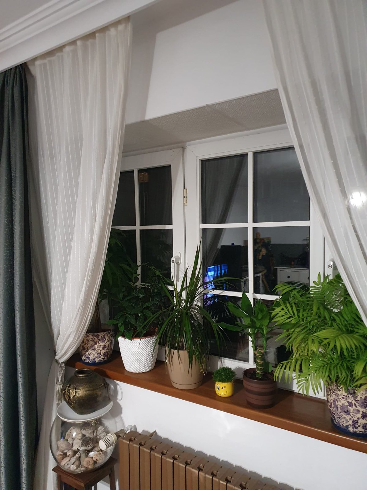 brau decorativ